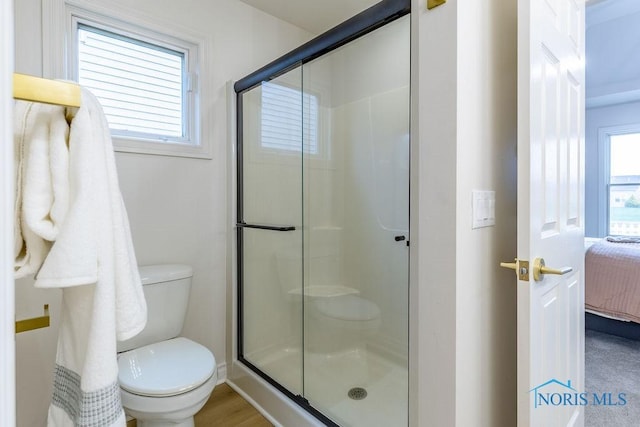 26328 Stillwater Dr, Perrysburg, OH 43551 - bathroom featuring toilet, ensuite bathroom, a shower stall, and plenty of natural light