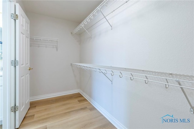 26328 Stillwater Dr, Perrysburg, OH 43551 - spacious closet with light wood-style floors