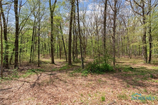 12500 County Road L, Wauseon, OH 43567 - photo 3