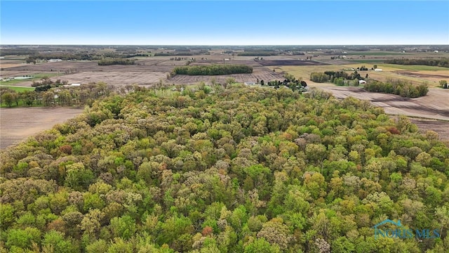 12500 County Road L, Wauseon, OH 43567 - photo 8