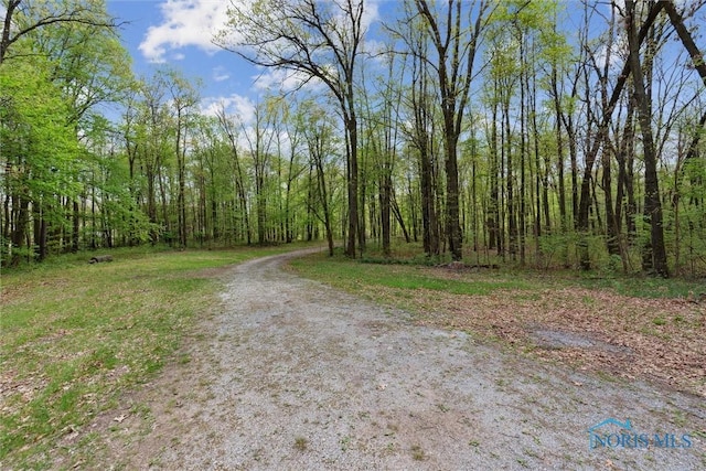 12500 County Road L, Wauseon, OH 43567 - photo 34