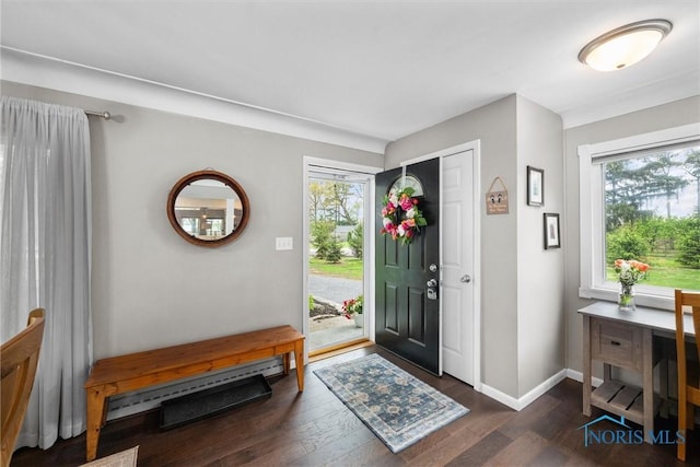 foyer with baseboards, a baseboard heating unit, dark wood-style floors, and a wealth of natural light