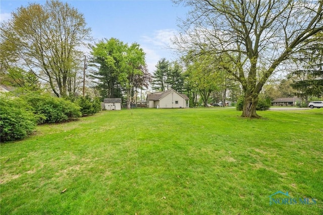view of yard featuring a storage shed and an outbuilding