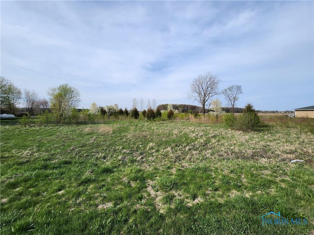 11500 Stiles Rd, Whitehouse, OH 43571 - photo 1
