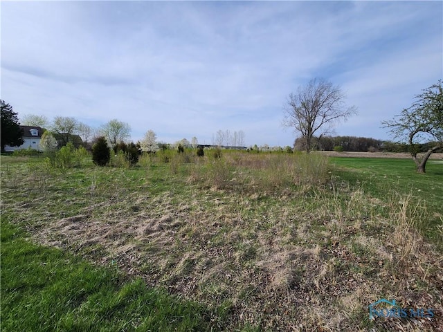 11500 Stiles Rd, Whitehouse, OH 43571 - photo 2