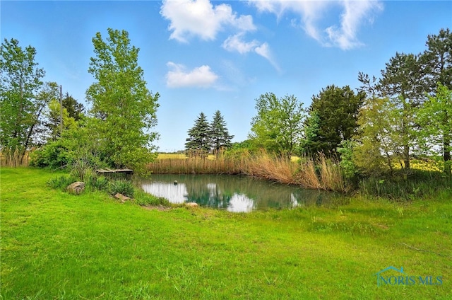 13707 Brint Rd, Berkey, OH 43504 - water view