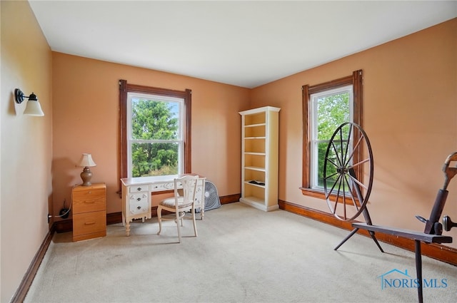 13707 Brint Rd, Berkey, OH 43504 - carpeted home office featuring baseboards