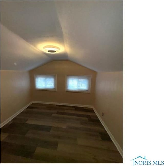 additional living space featuring baseboards, wood finished floors, and lofted ceiling