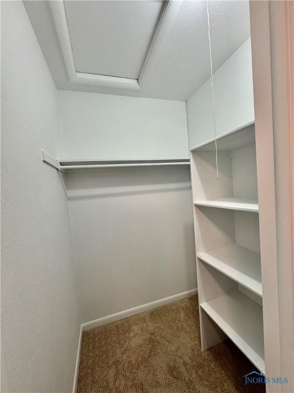 walk in closet with carpet