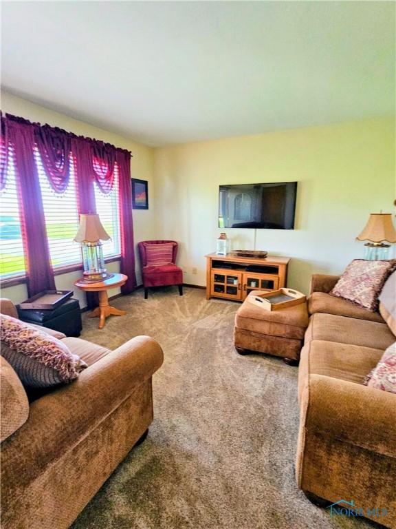 24046 Defiance Pike, Custar, OH 43511 - living room featuring carpet flooring