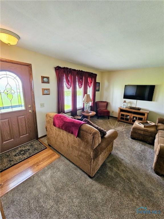 24046 Defiance Pike, Custar, OH 43511 - carpeted living room featuring wood finished floors