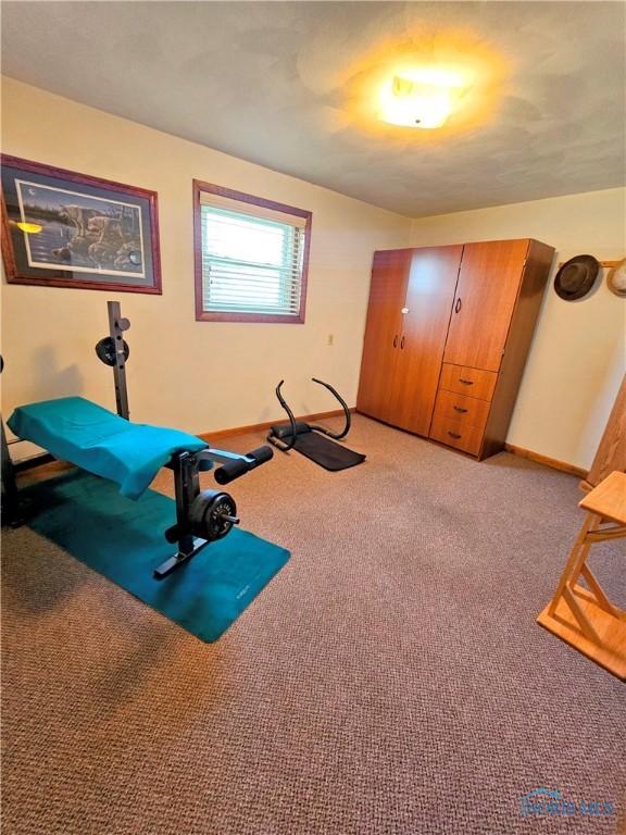 24046 Defiance Pike, Custar, OH 43511 - workout area with baseboards and carpet floors