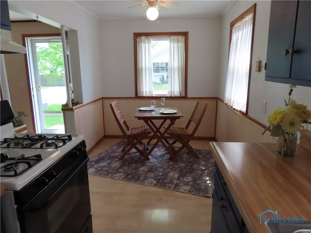 dining room featuring a ceiling fan, a wainscoted wall, light wood finished floors, and plenty of natural light
