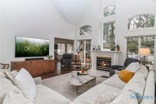living room with plenty of natural light, wood finished floors, a premium fireplace, and high vaulted ceiling