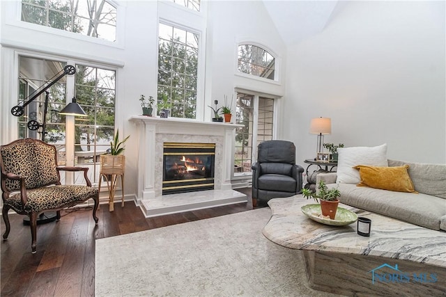 living area with a premium fireplace, a towering ceiling, and dark wood-style floors