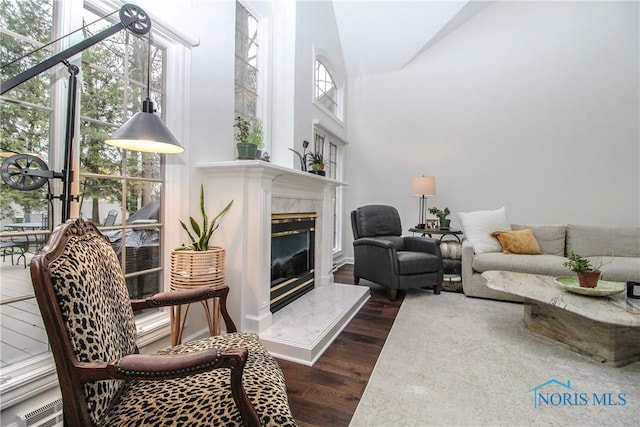living area with a fireplace and dark wood finished floors
