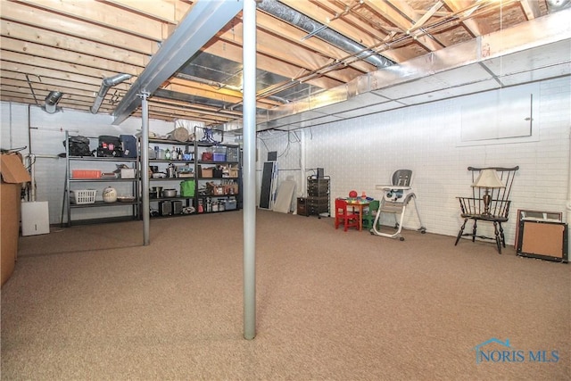 unfinished basement with carpet