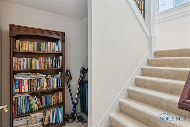4854 Cinnamon Ln, Sylvania, OH 43560 - view of stairway