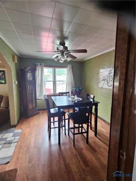 5666 Talmadge Rd, Toledo, OH 43623 - photo 11