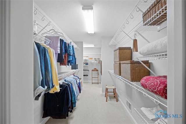 spacious closet with carpet floors