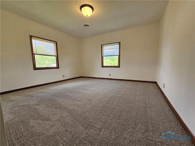 23675 W State Route 51, Genoa, OH 43430 - unfurnished room featuring healthy amount of natural light, carpet floors, and baseboards