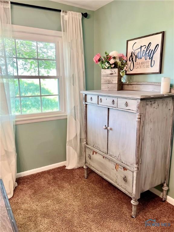 12982 State Route 34, Bryan, OH 43506 - detailed view of carpet flooring and baseboards