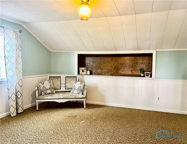 12982 State Route 34, Bryan, OH 43506 - sitting room with carpet, vaulted ceiling, and a wainscoted wall