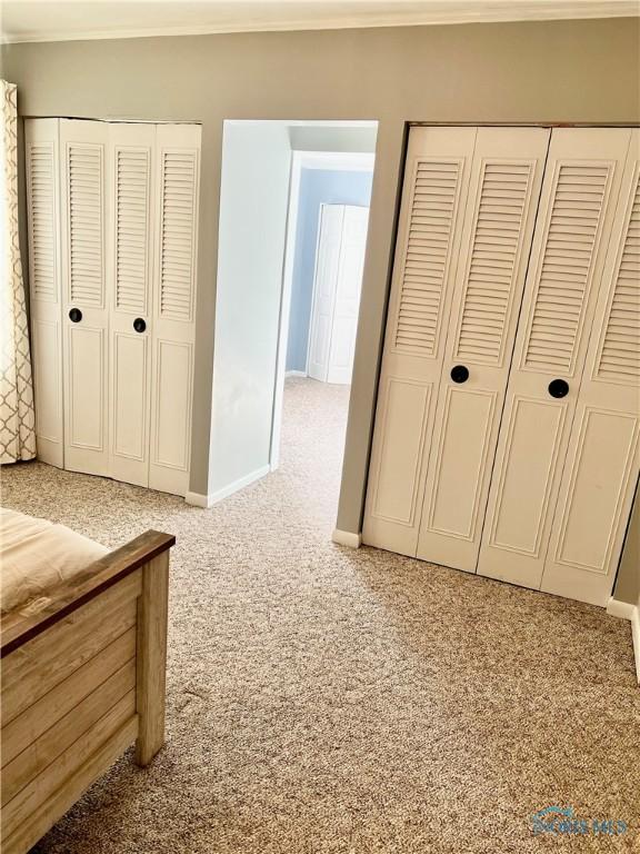 12982 State Route 34, Bryan, OH 43506 - unfurnished bedroom with light colored carpet, ornamental molding, baseboards, and a closet