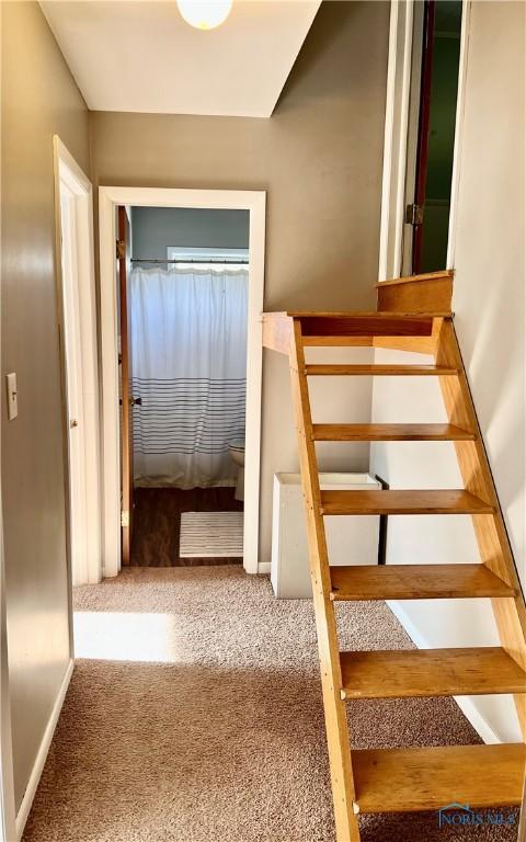 12982 State Route 34, Bryan, OH 43506 - stairs featuring carpet and baseboards