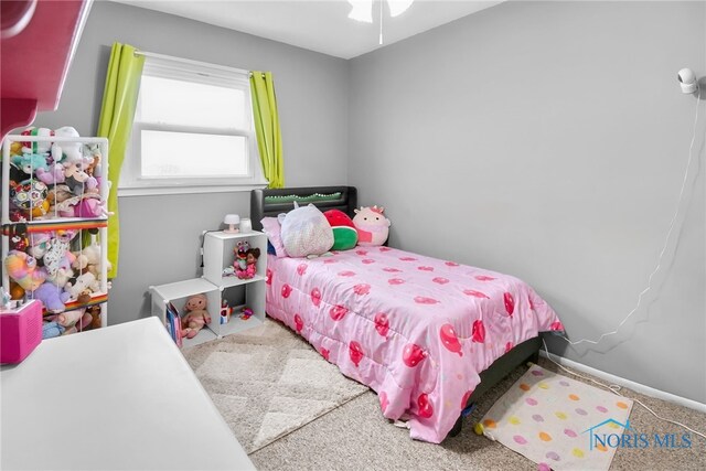 1760 Otsego Pike, Hoytville, OH 43516 - photo 22