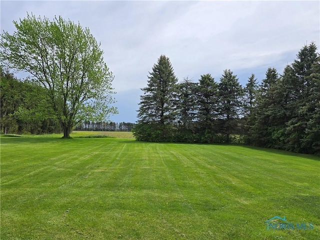 13941 Hannah Rd, Bowling Green, OH 43402 - view of green lawn