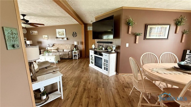 17262 US Route 127, Cecil, OH 45821 - living room featuring a textured ceiling, ceiling fan, and wood finished floors