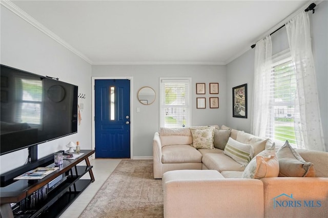 5036 Trellis Way, Sylvania, OH 43560 - living room with crown molding and baseboards