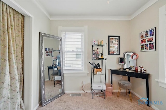 5036 Trellis Way, Sylvania, OH 43560 - office space featuring plenty of natural light, carpet flooring, ornamental molding, and baseboards
