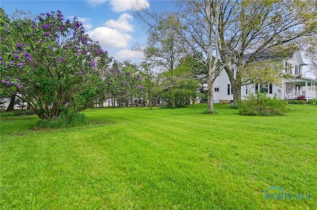 view of yard