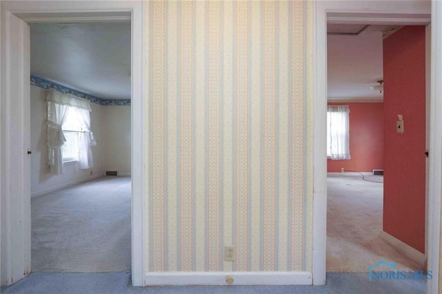 details with baseboards, visible vents, and carpet floors