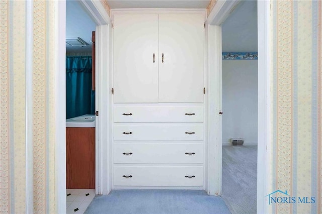 view of closet