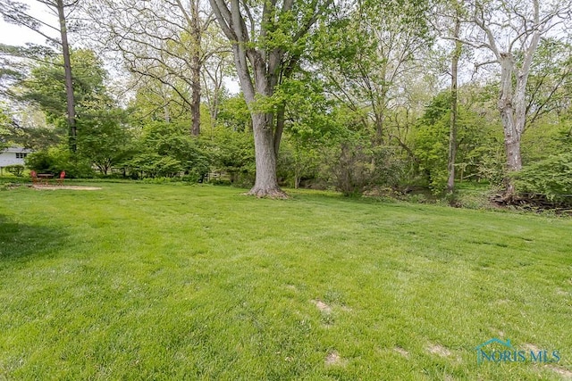 3868 W Bancroft St, Ottawa Hills, OH 43606 - photo 7