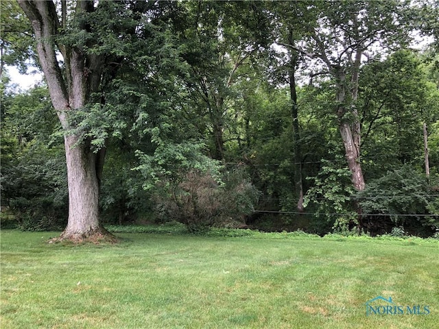 3868 W Bancroft St, Ottawa Hills, OH 43606 - photo 9