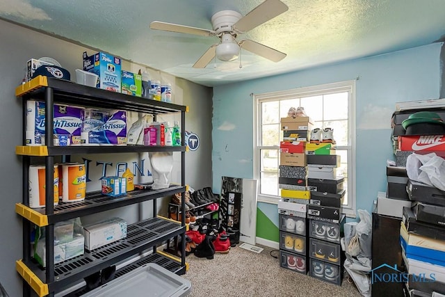 storage room featuring ceiling fan