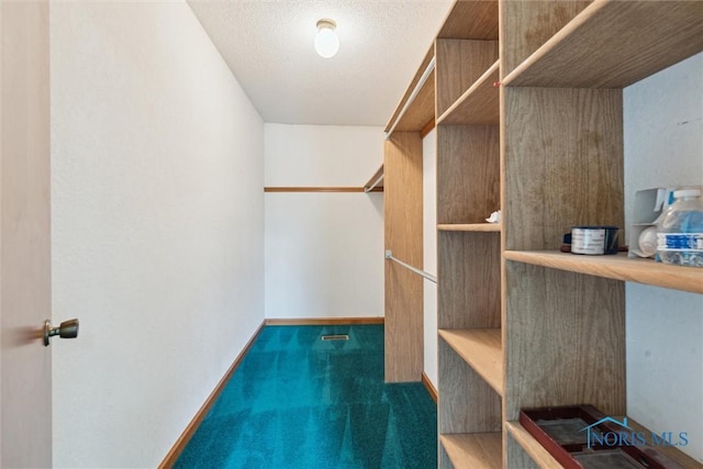 spacious closet with carpet floors