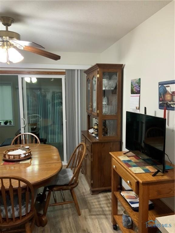 109 Rivers Edge Ln Unit C, Upper Sandusky, OH 43351 - dining room with a ceiling fan and light wood-style flooring