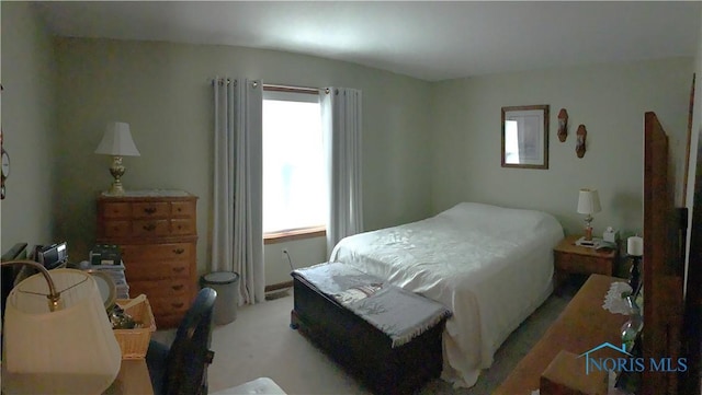 109 Rivers Edge Ln Unit C, Upper Sandusky, OH 43351 - bedroom with light carpet