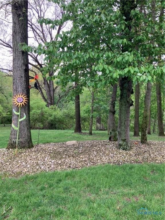 109 Rivers Edge Ln Unit C, Upper Sandusky, OH 43351 - view of green lawn