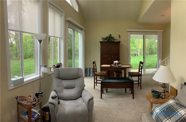 109 Rivers Edge Ln Unit C, Upper Sandusky, OH 43351 - living area featuring plenty of natural light and light colored carpet