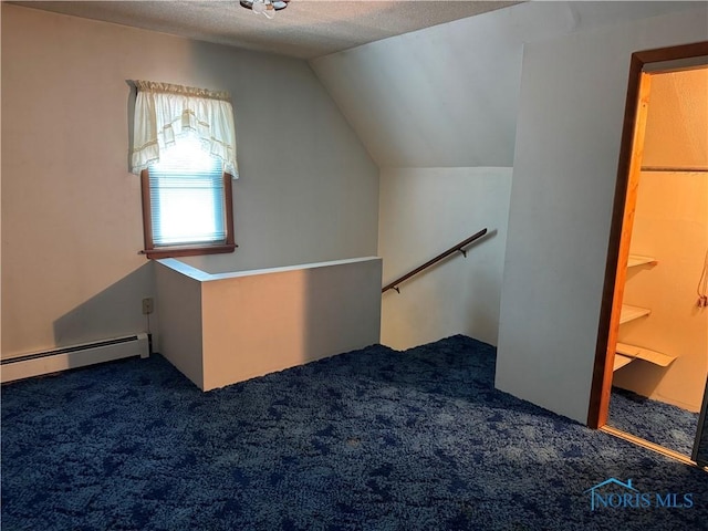 165 5th St, Mcclure, OH 43534 - bonus room with carpet flooring, a baseboard radiator, lofted ceiling, and a textured ceiling