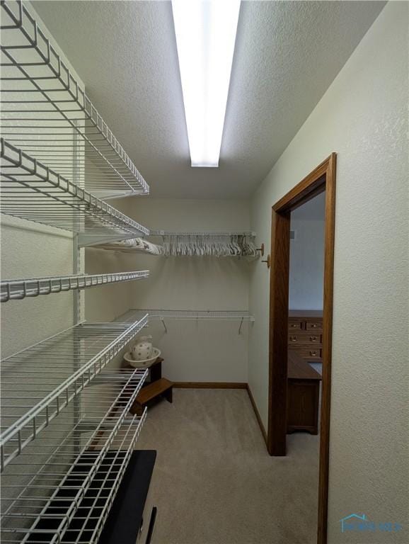 2450 N Billman Rd, Genoa, OH 43430 - walk in closet with carpet floors