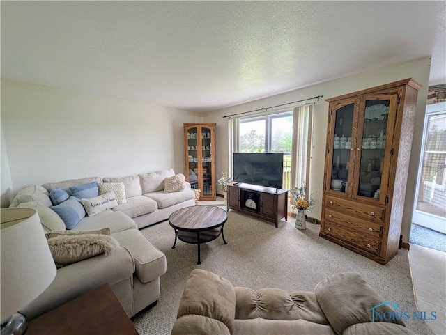 2450 N Billman Rd, Genoa, OH 43430 - living room featuring light colored carpet