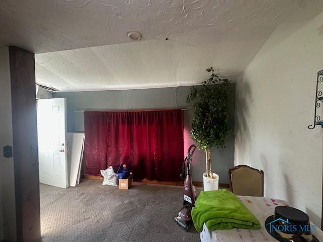 2111 Elm St, Toledo, OH 43608 - bedroom featuring carpet floors