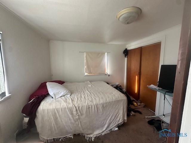 2111 Elm St, Toledo, OH 43608 - view of carpeted bedroom